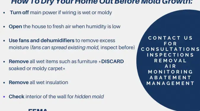 FEMA brochure on mold and mildew prevention in flood-damaged homes, including a diagram for mold remediation guidance.