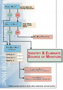 Infographic depicts how a non EH&S individual could determine and eliminate sources of moisture which can cause severe property damage.