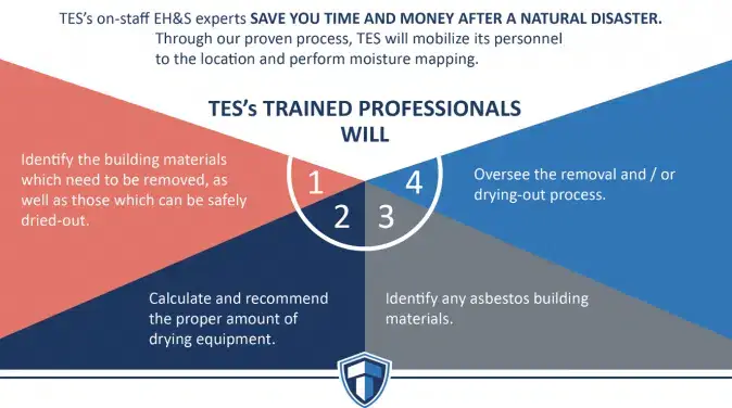 natural disaster to identify materials for removal or drying, with a focus on asbestos identification and restoration.